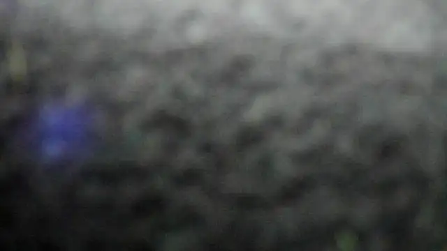 Онлайн чат XXX AishaRouhi