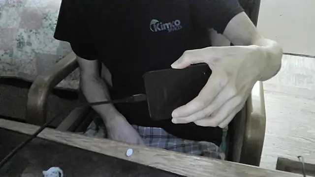 Show Webcam de FiSTALiTY