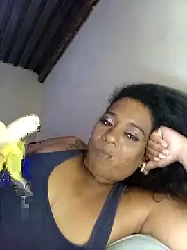 MiZzCreator: онлайн-секс-чат