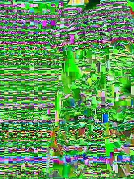 Show webcam de YANINA120