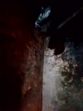 molly-xx: онлайн-секс-чат