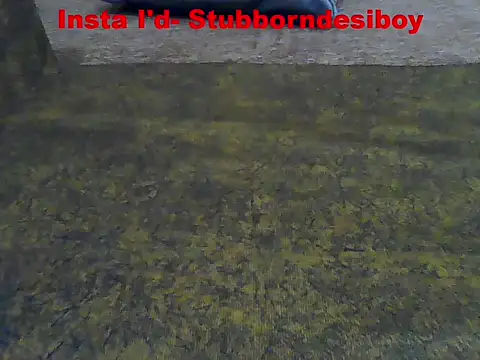 Chat +18 de Stubborndesiboy ao vivo