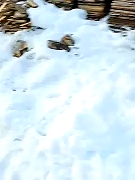 Chat XXX en directo de _uncle_Mitya-43_