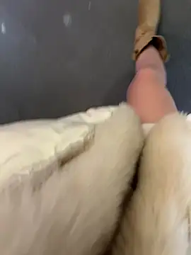 Webkamerová show littleqiu