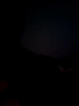 niyeek556's Webcam Show