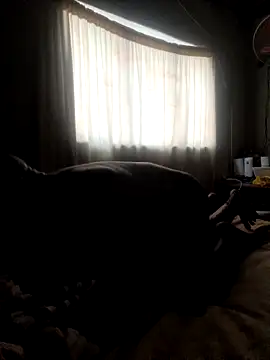 Вебкам-шоу manpower012