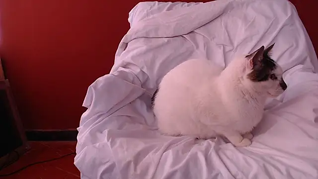 Freyja_etern Live XXX chat