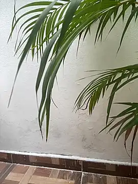 دردشة Naya_Noir الجنسية المباشرة