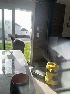 Amani_thewolf Obrolan Langsung XXX