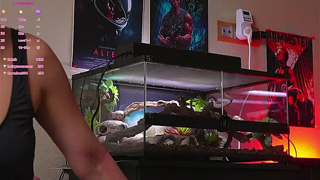 แชท XXX สดของ YaraAveiri