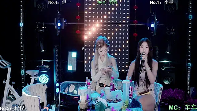 ZZ00033S Webcam show