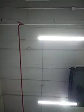 SheenaBrookeのライブXXXチャット