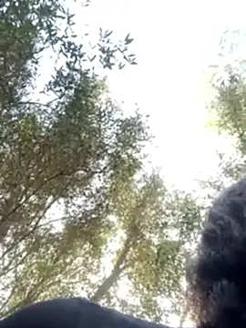 IsabellaSwee Live XXX Chat