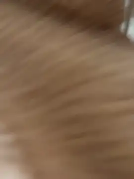 D4n13l47 Webcam Show