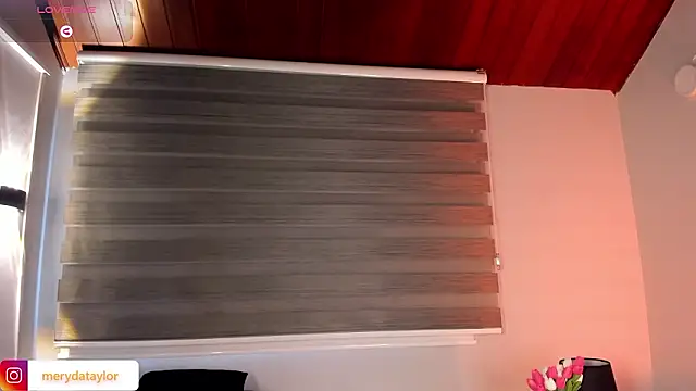 Chat +18 de MERIDA_TAYLOR ao vivo