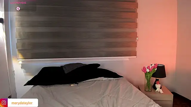 MERIDA_TAYLORのライブXXXチャット