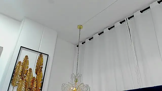 AerumChae Adlı Modelin Canlı XXX Sohbeti