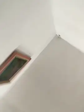 Chat XXX Live Evabigass