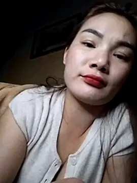 AYW-29 网络视讯表演