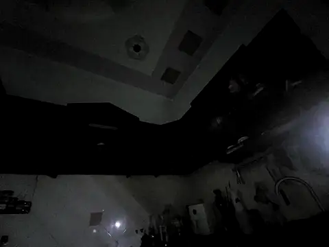 dogslavehf Show Webcam