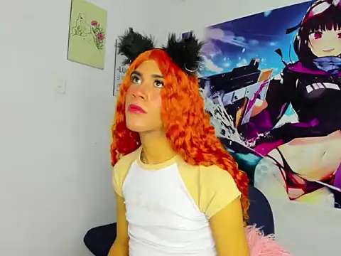 Ailanys_Millern Webbikameraesitys