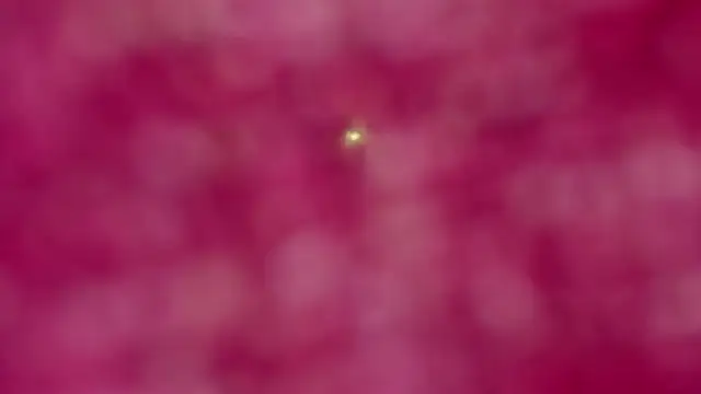 cailing_ élő XXX-chatje