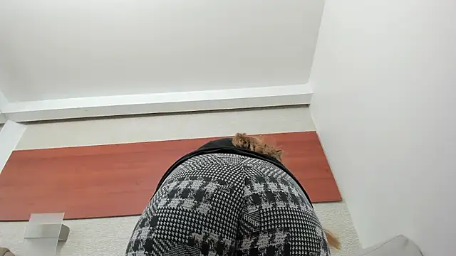 Chat +18 de maddy_cartter ao vivo