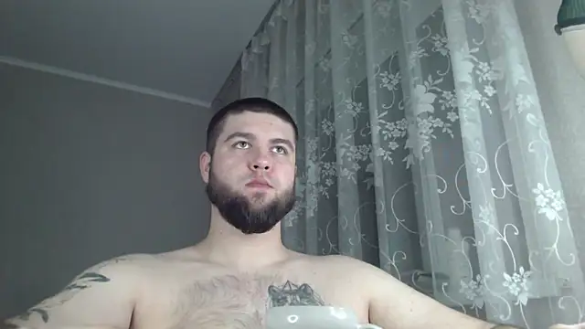 Show webcam de Ar4eewal