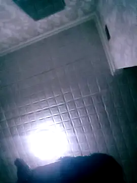 Apeesynka55211n Webbikameraesitys