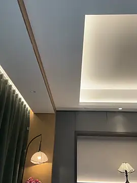 AYW-21 网络 视讯表演