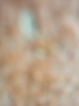 Chat XXX Live Myrelyhot