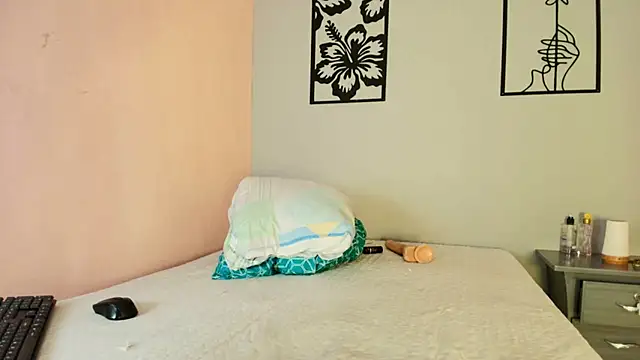 Lorensgill Webcam show