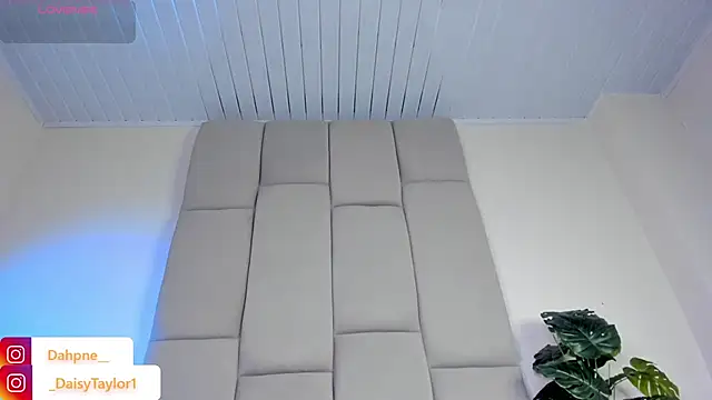 DaisyTaylor__'s Live XXX Chat