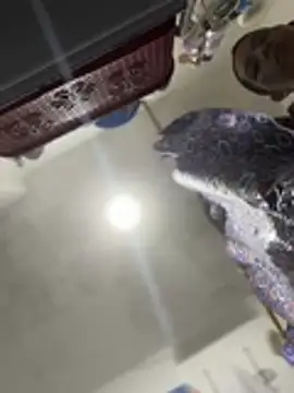 Mila_Morgan's Live XXX Chat