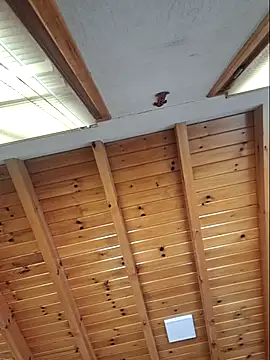 darialmas' Live XXX Chat