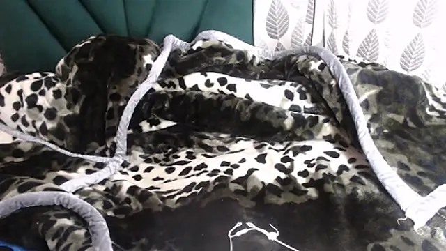 Nellybba Live XXX-Chat