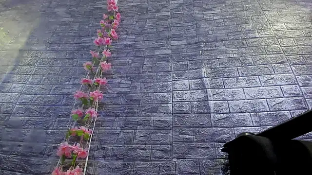 karoll__sexn Live XXX chat