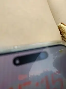 Chat XXX ao vivo de Henry_Lady