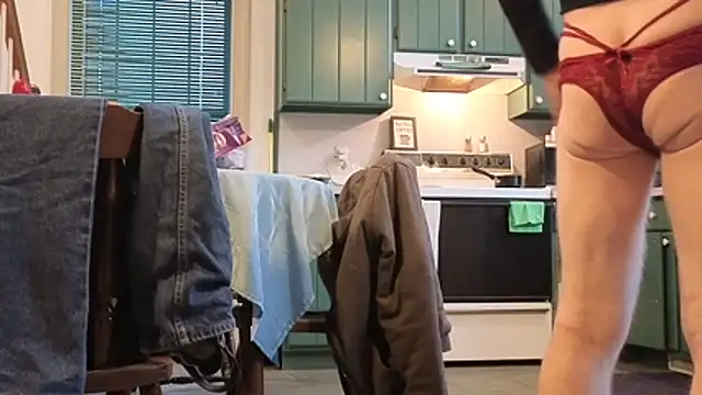 Show webcam de CDforU