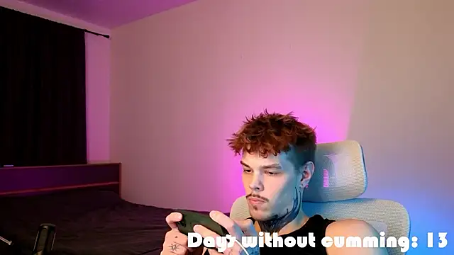 Show webcam de DENIS_HERE