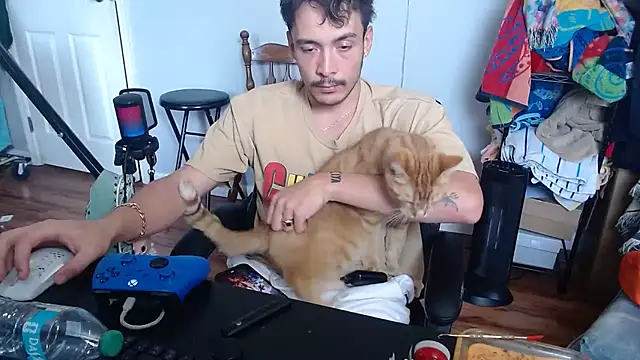 Show Webcam de Longdforya