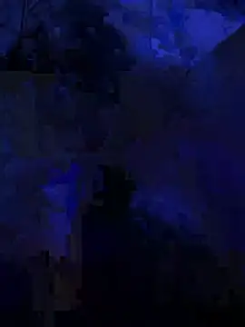 Show de webcam de Bee-mann