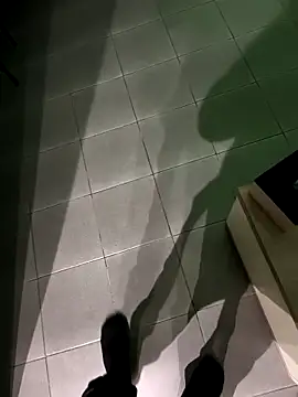 Show modela venezmefairegicler na web-kameri