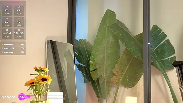 Show de came-lot na webcam