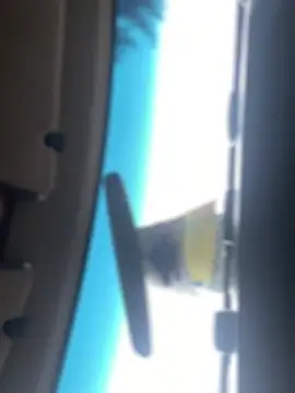 Ldnick69 现场XXX聊天