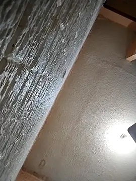 Alexdotado18cmn Webbikameraesitys