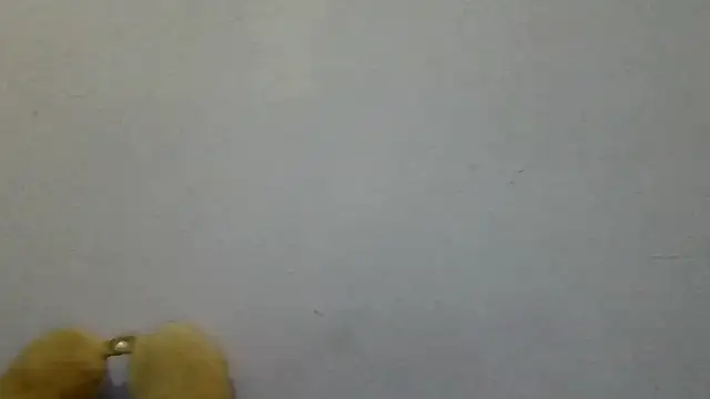 Chat XXX Live loletabb