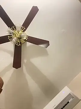 Show webcam de islandvybee55