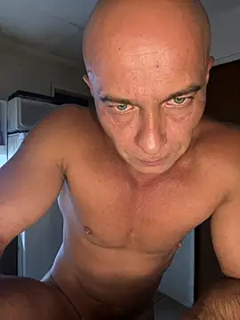 dogfrota – Kamerová šou