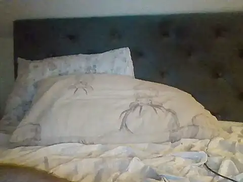 InferredPloce Webcam-Show